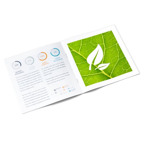 Broschüren Öko-/Naturpapiere, quadratisch, CD-Format 2